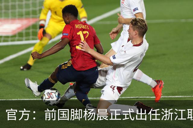 官方：前国脚杨晨正式出任浙江职业足球俱乐部总经理